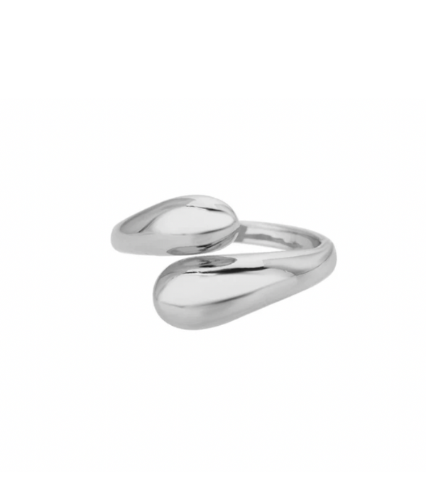 Anillo doble Plata