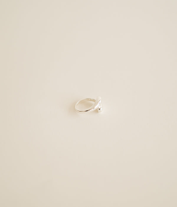 Anillo doble Plata