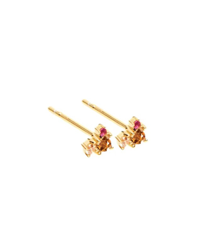 Rosa y Marrón