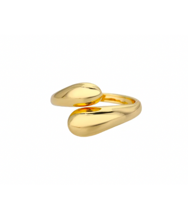 Double Gold Ring