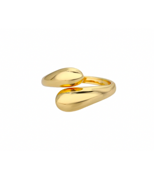 Anillo doble Oro