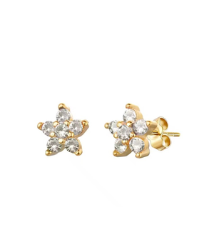 Circonitas oro