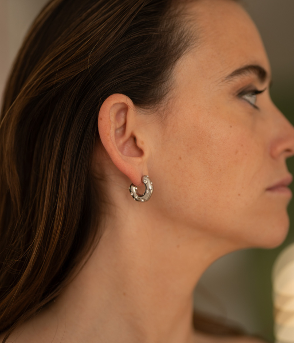 Sweet Silver Earrings