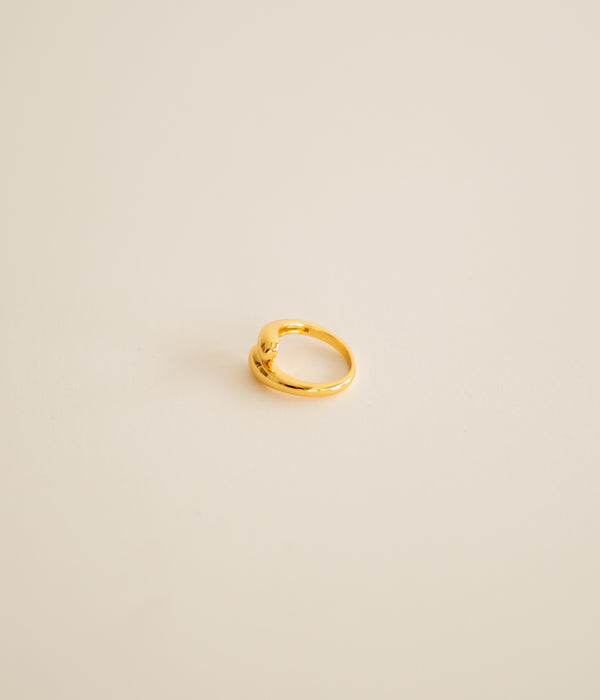 Double Gold Ring