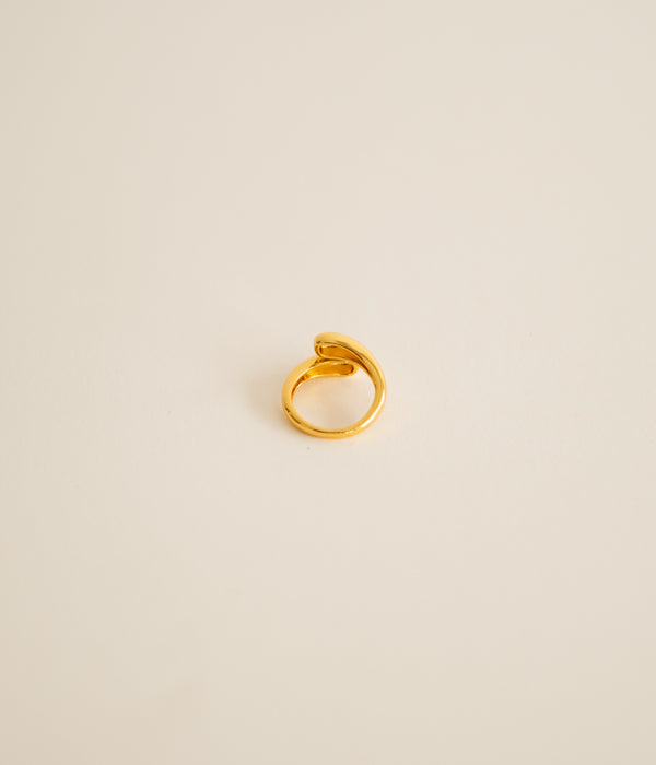 Double Gold Ring