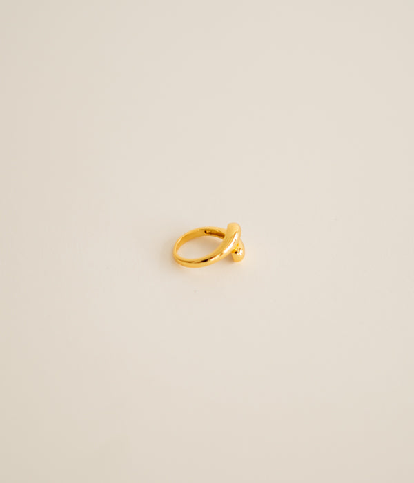 Double Gold Ring